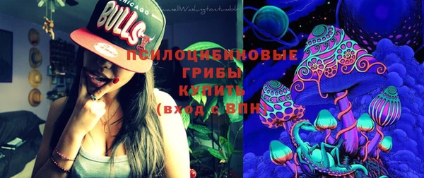 мяу мяу мука Аркадак