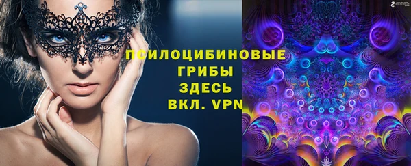 мяу мяу мука Аркадак
