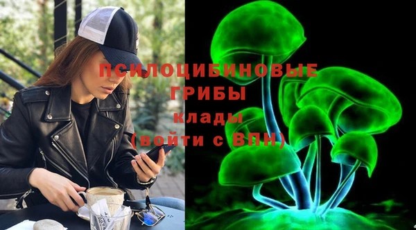 герыч Арсеньев